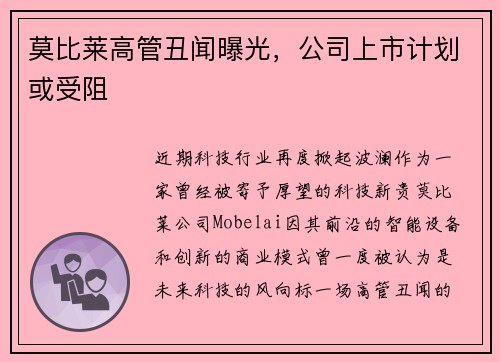莫比莱高管丑闻曝光，公司上市计划或受阻
